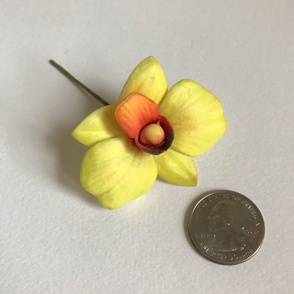 New Orchid hair accessory flown in from Hawaii!